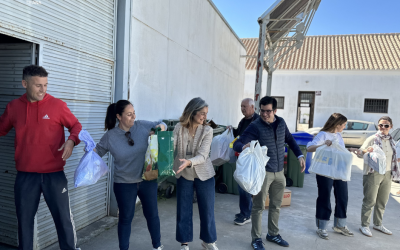 Borrador automático