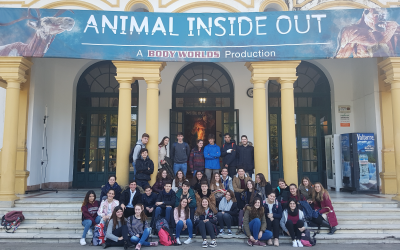 Visita de 1ºB a la exposición Animal Inside Out en el Casino de Sevilla.