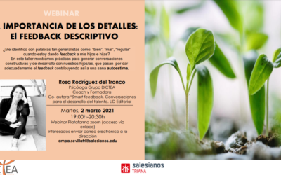 La importancia de los detalles: el feedback descriptivo