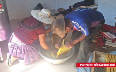 Proyecto Néctar Dorado